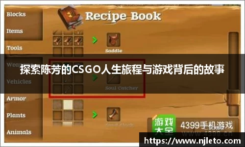 探索陈芳的CSGO人生旅程与游戏背后的故事