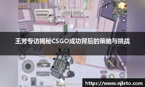 王芳专访揭秘CSGO成功背后的策略与挑战