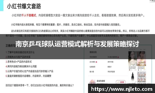 南京乒乓球队运营模式解析与发展策略探讨