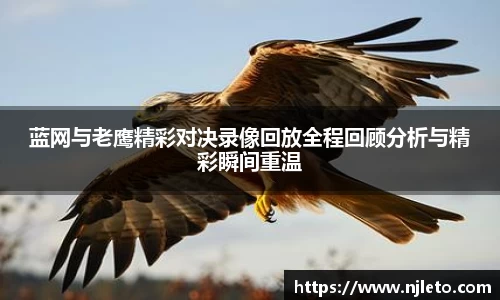 蓝网与老鹰精彩对决录像回放全程回顾分析与精彩瞬间重温