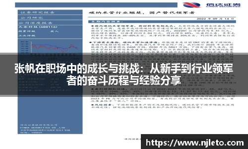 张帆在职场中的成长与挑战：从新手到行业领军者的奋斗历程与经验分享